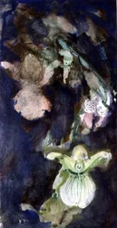 Orchidee pantofola